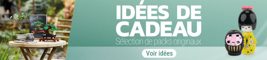Idees cadeau